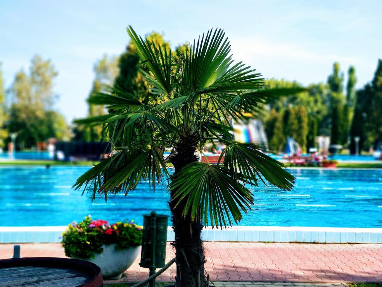 Hotel Forras Komarom Bagian luar foto
